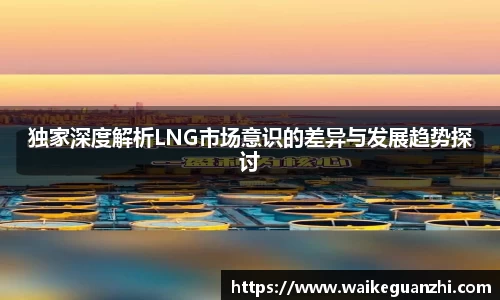 独家深度解析LNG市场意识的差异与发展趋势探讨